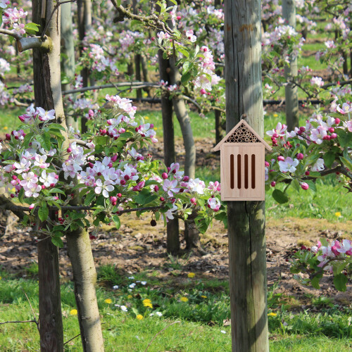 Casa De Insetos Para Jardim Com Abrigo Para Abelhas E Ninhada 2