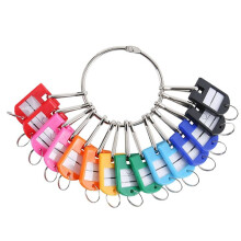 Portable Metal Key Organizer with 20 Spring Hooks & Key Tags with and Label Window