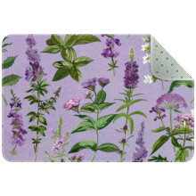 Floral Herbs and Spices Small Area Rug, Non-Slip Door Mat Indoor Floor Mat, Washable Kitchen Rug Entrance DMat for Bedroom Living Room