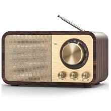 Radio FM con ricezione, radio a transistor portatile Bluetooth con altoparlante da 5 W, radio vintage ricaricabili per casa e esterni