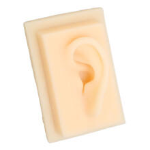 Orelha de silicone macia, segura, prática e confortável, com textura brilhante e formato vívido, ideal para ensino e demonstrações. Orelha