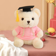 Graduation Bear Doll Soft Plush 23cm