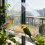 Window Bird Feeder Suet Cage Transparent Wall-Mounted 1