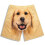 Polyester Shorts with Funny Dog Pattern for Casual Wear 1