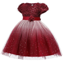 Paillettenbesetztes Tüllkleid, bauschig, mit Blumenmuster und Schleife, ideal für Geburtstagsfeiern von Kleinkindern (3-10 Jahre)