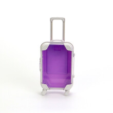 Small Transparent Suitcase Compact Travel Storage Organizer Mini Rolling Luggage Case Clear Display Christmas Gifts Home
