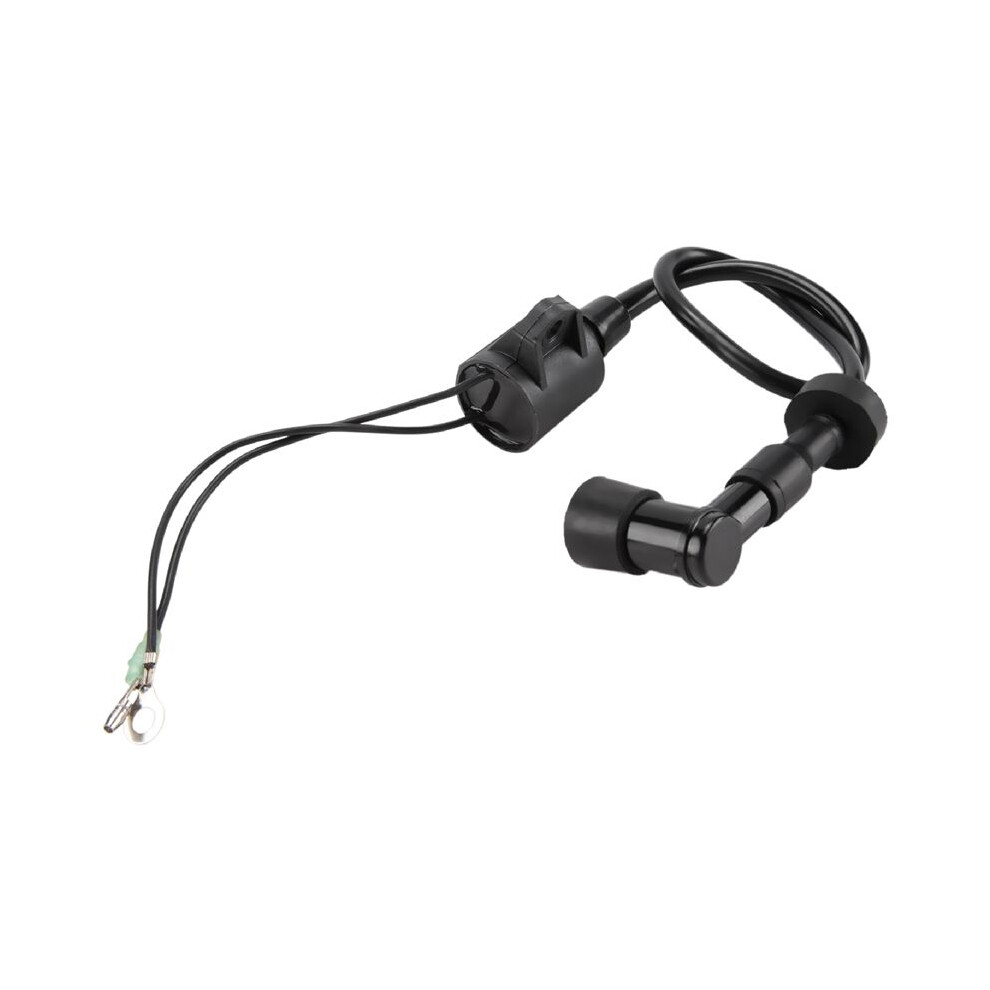 Boat Ignition Coil Assy For 40Hp 50Hp 2 Stroke 3 Cylinder Outboard Motor Engine 6H5-85570 Boat Accessories Marine 4711433611683