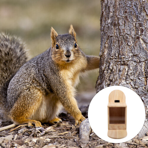 Squirrel Feeder Table Trä Näringsskåp För Ekorrar 2