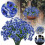 12pcs Blue Artificial Roses – UV Resistant, Outdoor & 1