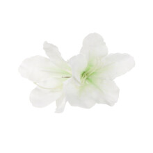 Xinwanna Kvinnors Sommarhårspänne Blomformad Imitationsblomma Hårspänne Bohemisk Stil Brudlugg Hårspänne Håraccessoarer (Vit)