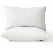 12x20 örngott, set med 2 dunfjädrar för soffa/bäddsoffa, dekorativa fluffiga örngott i bomull, vit