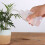 2Pak Squeeze Watering Bottle Wit Voor Succulenten Met Buigbare Tuit 3