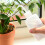 2Pak Squeeze Watering Bottle Wit Voor Succulenten Met Buigbare Tuit 4