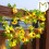 Sunflower Maple Leaf Garland Lights – 16.4Ft Solar Led String Lights For Spring 1