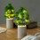 Christmas Tree Lights Artificial Flower Lamp 1