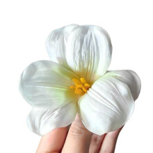 Xinwanna Women Hair Clip 3D Flower Decor Side Bang Hair Pin Summer Beach Sea Hairpin Photo Props Hairpin Hair Accessory (Green)