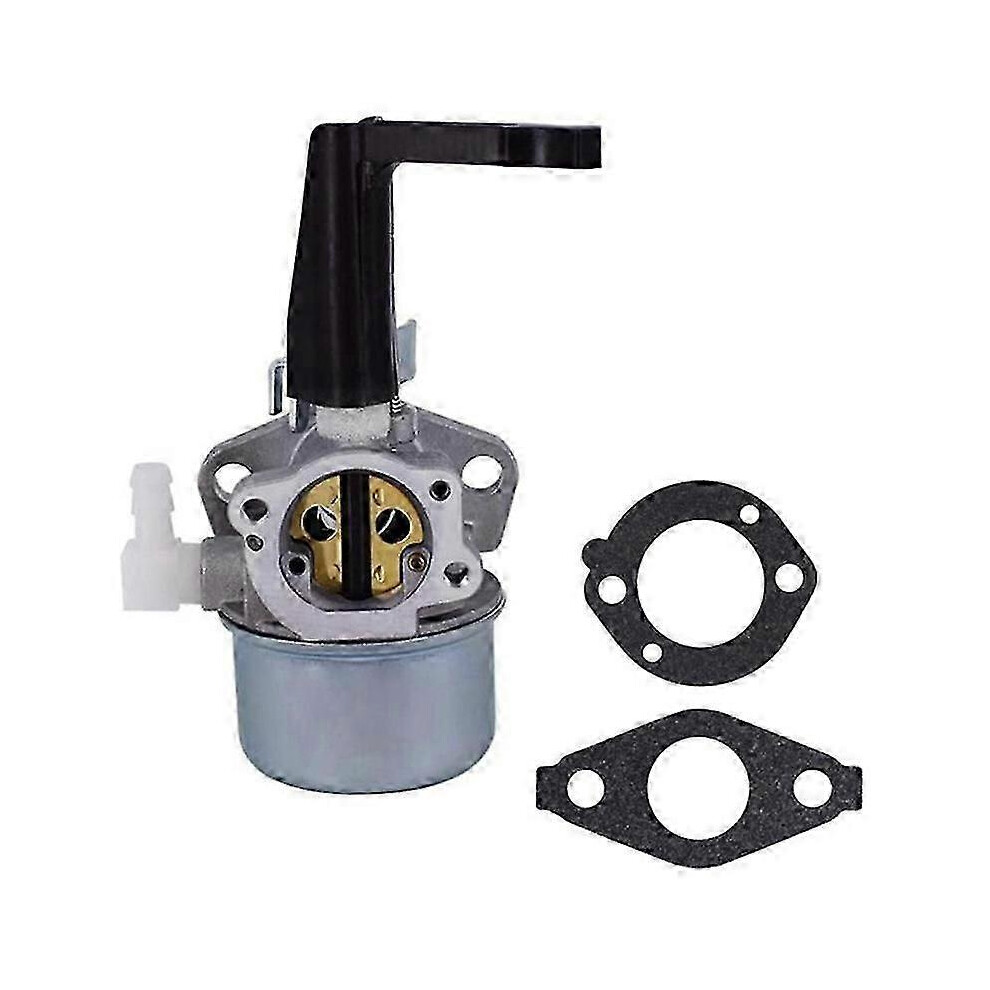 Carburetor Compatible Briggs Stratton 696065 697422 110402 110412 215369 6902344602244