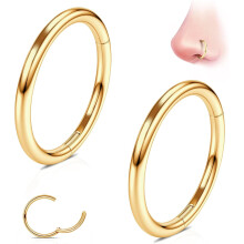G23 Titanium Nose Hoops (2pcs): 16G-20G, 6-10mm Seamless Hoops for Nose, Septum, Lip, Cartilage, Daith, Conch, Tragus, Rook, Belly