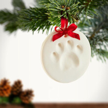 Pet Paw Print Kit Blue DIY Clay Ornament with Stand 2 pcs