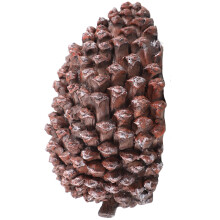 Decorative Brown Pine Cone Key Storage Box for Outdoor Garden Use