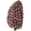 Decorative Brown Pine Cone Key Storage Box for Outdoor Garden Use 1