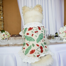 Vestito per cani per San Valentino con ciliegie e fragole, taglia piccola/media