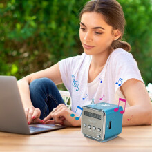 Portable Wireless Mini Speaker,FM Radio,AUX Input,USB & TF Card Support,550mAh Battery,Compact Metal Design,3W Output