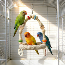 Colorful Wooden Parrot Perch and Claw Sharpening Stand with Beads, Interactive Swing and Grooming Station for Birds, Easy to Hang Chew Toy