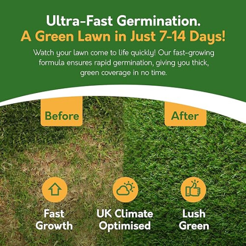 Fast Growing, (2.8 kg) Pronto Seed Premium Grass Seed 1
