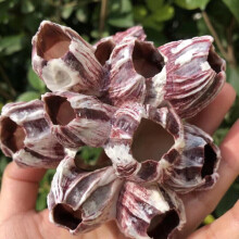 Artificial Resin Coral Reef Aquarium Ornaments Landscaping Fish Tank Decor Home