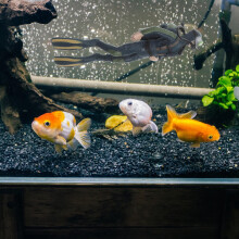FRCOLOR Floating Scuba Diver Fish Tank Decorations Miniature Diver with Hose Figurine Funny Fish Playmate Aquarium Ornament Accessories Dark Blue