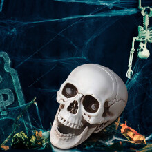 Realistic Plastic Halloween Skeleton Decorations, Mini Skull & Bone Models – Compatible with Halloween Props