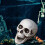 Realistic Plastic Halloween Skeleton Decorations, Mini Skull & Bone Models – Compatible with Halloween Props 1