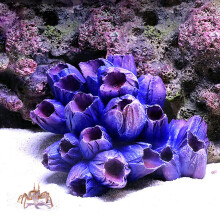 Artificial Resin Coral Reef Aquarium Ornaments Landscaping Fish Tank Decor Home