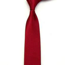 Men's Satin Skinny Necktie 10 PCS