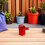Rode Plastic Fruitpluktool Ergonomisch Voor Diverse Bessen Tuin 6