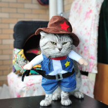 Pretyzoom 1 Set Cat Clothes Creative Pet Costume Cotton For Outdoor Walks