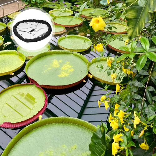 Zwart Polyester Drijvend Plantennet Vijverbescherming 2