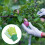 1 paar cartoon gartenhandschuhe kinder schutz 5