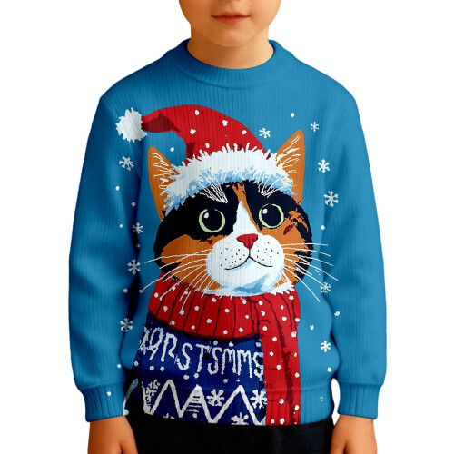 Boys Casual Graphic Sweatshirt Fleece Pullover Winter Daily