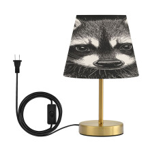 Modern Minimalist Cone Desk Lamp with Antique Bronze Base & Linen Shade – Compatible with Raccoon Medium