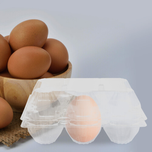 6 Piezas Caja Multirranurada Para Embalar Huevos De Oca 2