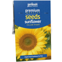Jamieson Brothers? Sunflower Yellow Pygmy ? 50 Dwarf Sunflower Seeds for Pots & Borders