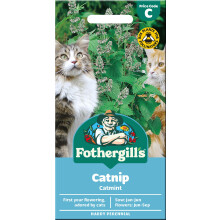 Catmint Catnip Seeds by Fothergill's for Planting UK - Your Cat Will Love It