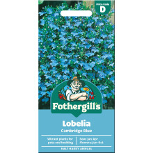 Fothergill's Trailing Lobelia Seeds Cambridge Blue