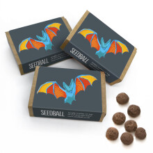 SEEDBALL Bat Mix Wildflower Seed Bombs (Pack of 3, 6 Balls Per Box) | Eco Friendly British Wild Flower Seeds Mix for Attracting Bats to Your Garden |