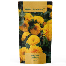 Pack of 40 Seeds - Teddy Bear Sunflower Seeds for Charming Garden Displays