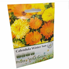 Calendula Winter Sun Seeds in Pictorial Packet from UK Seller