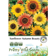 Sunflower Autumn Beauty Seeds in Pictorial Packet- 100 Seeds