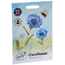 Roselyn Seeds Wild Cornflower Seeds - Bee Friendly Hardy Annual Wildflower for Planting in Spring or Autumn | 5 Grams - 1000 Seeds